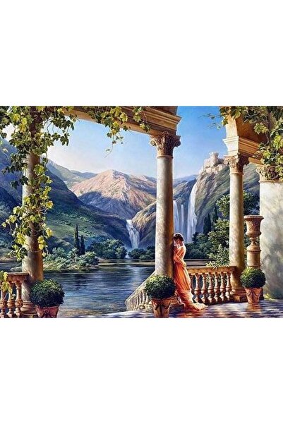 wombhobby Meva Sayılarla Boyama Seti 40x 50 Cm (TUVALE GERİLİ)