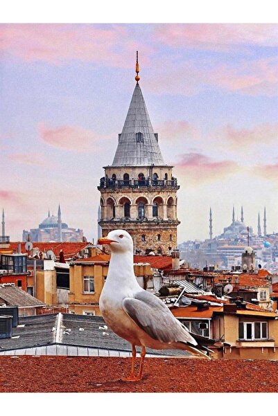 wombhobby Galata Sayılarla Boyama Seti 40x50 Cm (tuvale Gerili)