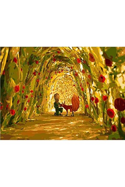 wombhobby Küçük Prens Ve Gül Bahçesi Sayılarla Boyama Seti 40x50 Çerçeveli (K...