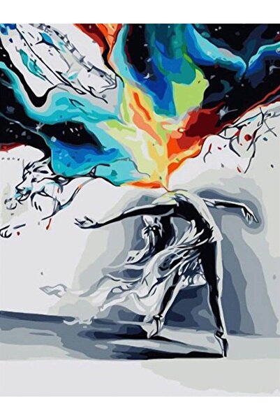 wombhobby Renk Çıkışı Sayılarla Boyama Seti 40x50 Çerçeveli (Kasnağa ) Gerili