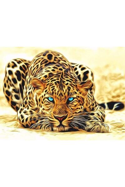 wombhobby Sahildeki Kafe Sayılarla Boyama Seti 50x65 Cm Çerçeveli (Kasnağa ) ...