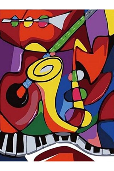 wombhobby Picasso Sayılarla Boyama Seti 40x50 Cm (TUVALE GERİLİ)
