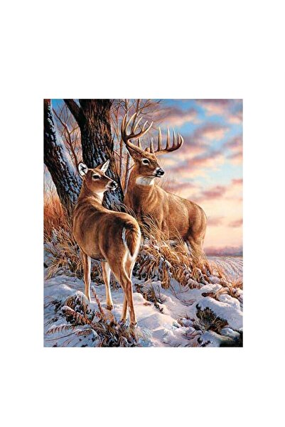 wombhobby Kış Ve Geyikler Sayılarla Boyama Seti 40x50 Çerçeveli (Kasnağa ) Ge...