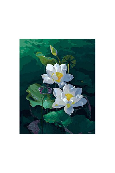 wombhobby Nilüfer Sayılarla Boyama Seti 40x50 Cm (tuvale Gerili)