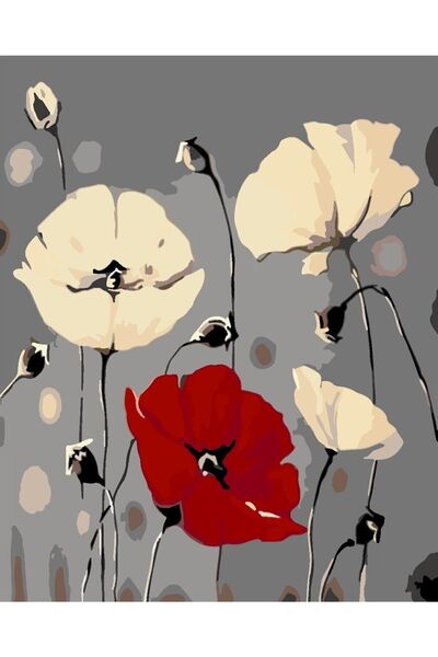 wombhobby Gri Içindeki Gelincikler Sayılarla Boyama Seti 40x50 Cm Çerçeveli (...