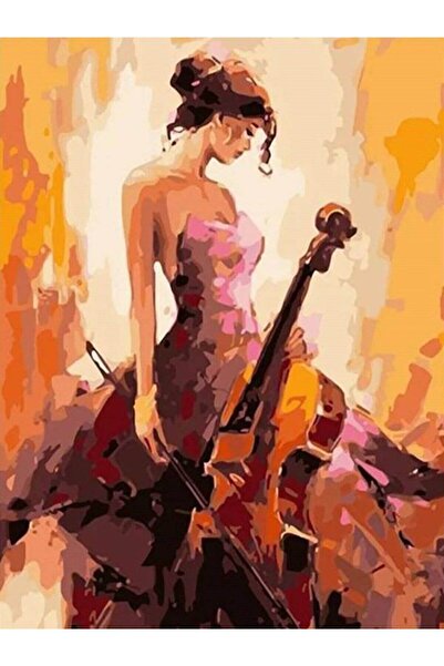 wombhobby Viyolensel Sayılarla Boyama Seti 40x 50 Cm (TUVALE GERİLİ)