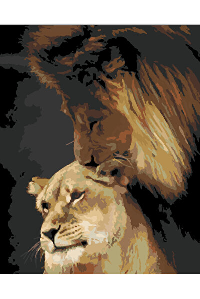 wombhobby Aslan Merhameti Sayılarla Boyama Seti 40x50 Çerçeveli (Kasnağa ) Ge...