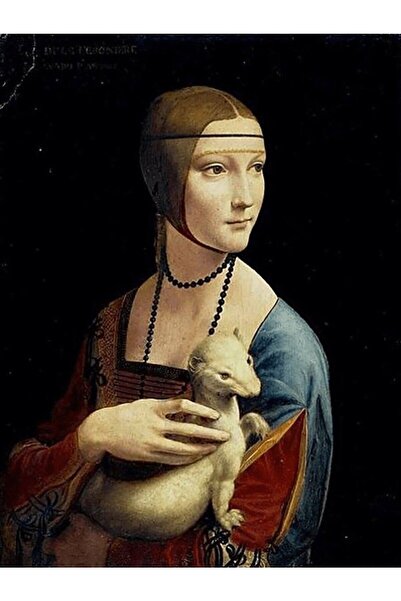 wombhobby Da Vinci Kakımlı Leydi Sayılarla Boyama Seti(40x50 Cm Tuval Şasesin...