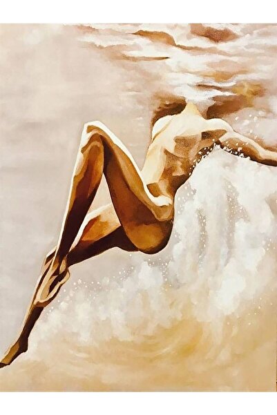 wombhobby Akışa Bırak Sayılarla Boyama Seti 40x 50 Cm (TUVALE GERİLİ)