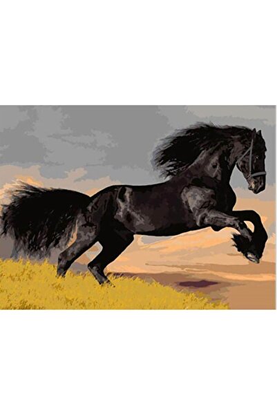 wombhobby Karayel Sayılarla Boyama Seti 40x50 Cm (TUVALE GERİLİ)