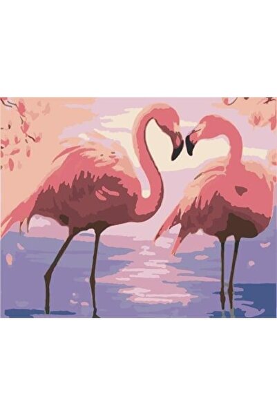 wombhobby Flamingo Çifti Sayılarla Boyama Seti 40x50 Cm Çerçeveli (Kasnağa ) ...