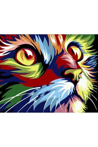 wombhobby Renkli Kedi Sayılarla Boyama Seti 40x50 Çerçeveli (Kasnağa ) Gerili