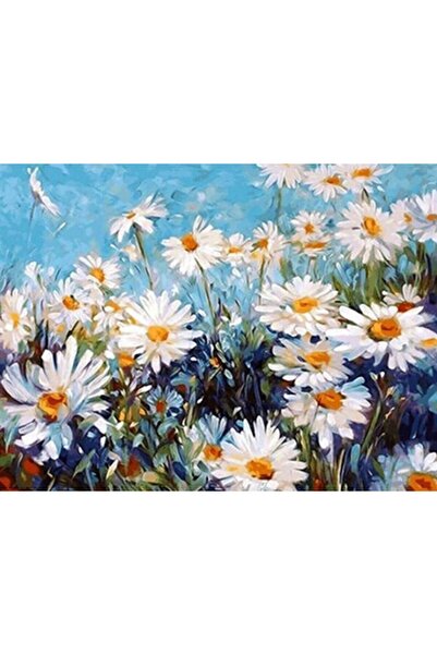 wombhobby Papatyalar Sayılarla Boyama Seti(60x75 Cm Tuval Şasesine Gerili)