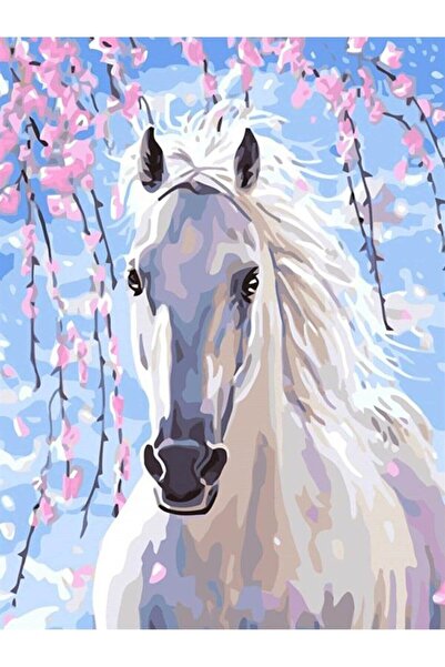 wombhobby Yılkı Sayılarla Boyama Seti 50x65 cm Çerçevesiz RULO ( Kasnaksız )