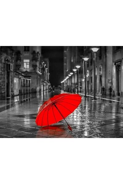 wombhobby Kırmızı Şemsiye Sayılarla Boyama Seti 40x50 Cm Çerçevesiz RULO ( Ka...