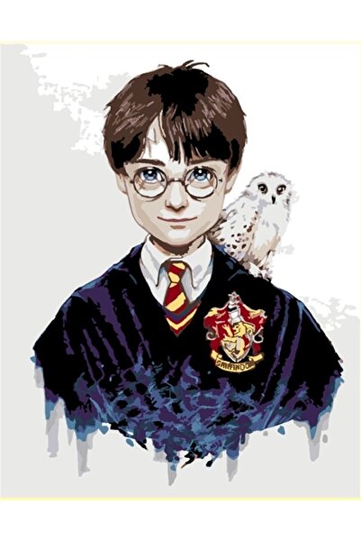 wombhobby Harry Potter Sayılarla Boyama Seti 40x50 Cm Çerçevesiz RULO ( Kasna...