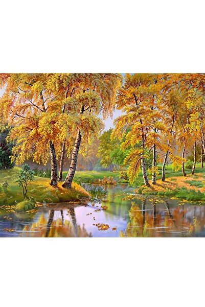 wombhobby Kavak Ağaçları Ve Göl Sayılarla Boyama Seti 40x50 Cm Çerçevesiz RUL...