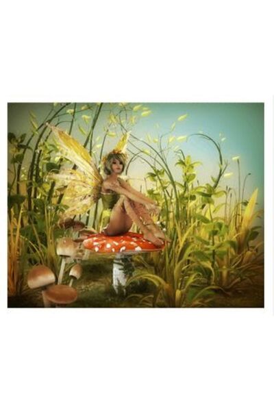 wombhobby Orman Perisi Sayılarla Boyama Seti 40x50 Cm Çerçevesiz RULO ( Kasna...