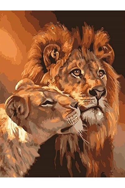 wombhobby Aslan Çifti Sayılarla Boyama Seti 50x65 cm Çerçevesiz RULO ( Kasnak...