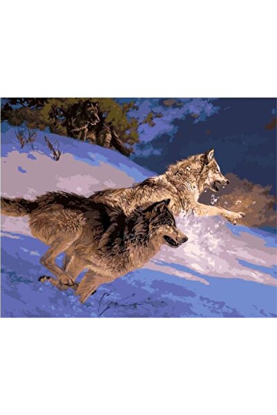 wombhobby Av Peşinde Sayılarla Boyama Seti 40x50 Cm Çerçevesiz RULO ( Kasnaks...