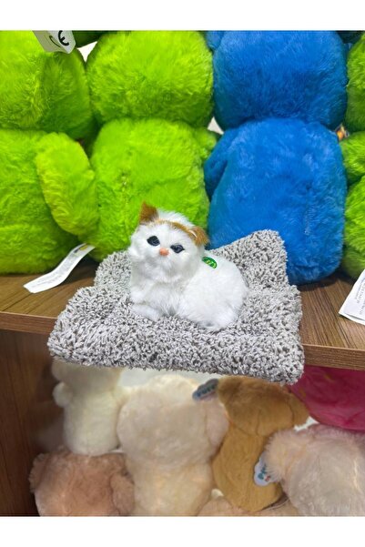 Genel Markalar Peluş Yavru Kedi Oyuncak  Minder Üstünde Uyuyan Kedi Sesli Miyavlayan Oyuncak