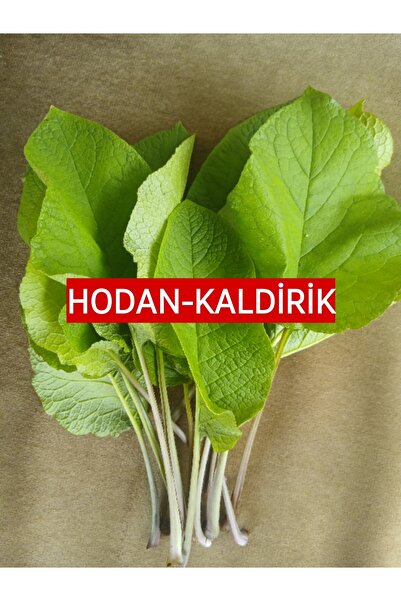 Genel Markalar 250 Gr.Kaldirik - Hodan - Ispıt Otu