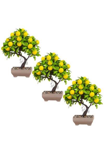 Mercaton Set Mercaton, 3 Lămâi Artificiale în Ghiveci, Plastic, 18 x 24 cm