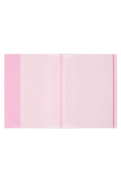 Bigpoint Pachet de 5 caiete A4 Ready Container, roșu transparent x 20 pachete