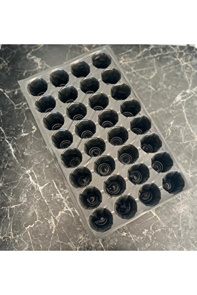 SEF TARIM Fide Viyolü 32 Göz 5 Li Paket