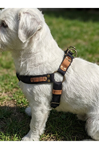 balkonda Dog Collar Small Breed Adjustable Velvet Navy Blue