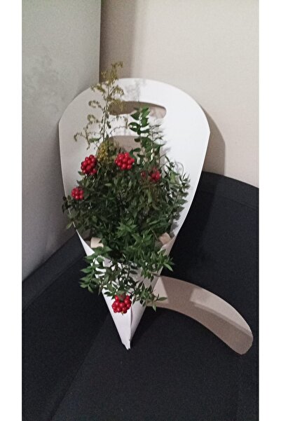 Orbak Kağıt 100 حقيبة فاخرة بيضاء لزهور الكوكينا - ورق S أزرق بلون الكوبالت، ...