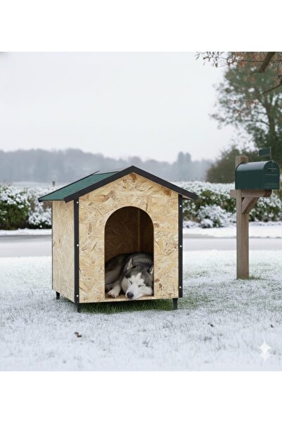 MSAY Büyük boy köpek kulübesi. Dış mekan ahşap osb kulübe