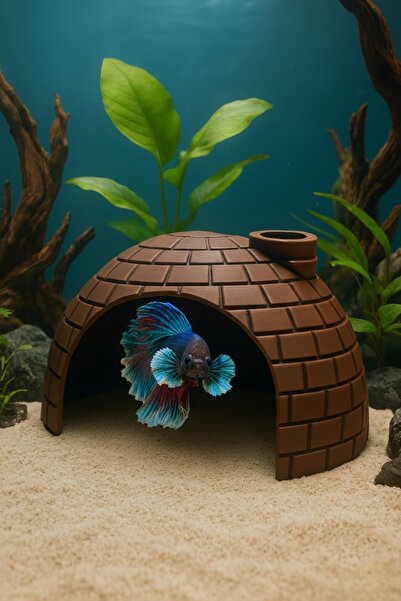 MD×JOA Balık Yuvası ⬢ Testi ⬢ Beta Japon Çöpçü Neon Tetra Lepistes vb Türlere...