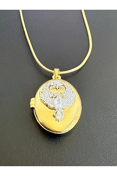 TWOGAN قلادة فولاذية من مدينة فوكس سيتي على شكل فينيكس - قابلة للفتح، حجر الز...