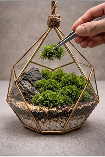 Yerli Teraryum Dekoratif Yosun – 10 gr