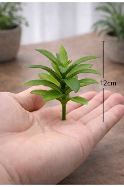 Yerli Yapay Mini Sukulent – Doğal Görünümlü Teraryum Bitkisi