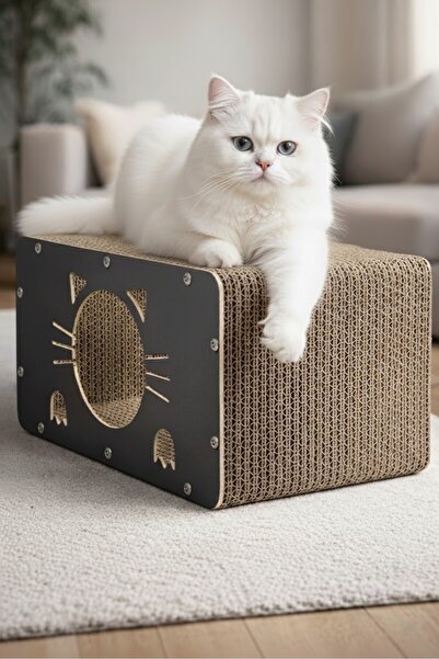 Decorx Kedi Tırmalama Kartonu Kanepesi Dayanıklı Karton Kedi Evi & Oyun Alanı
