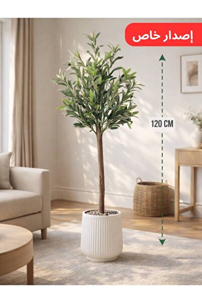 MG شجرة زيتون بطول 120 سم بمركن مُقلم ( إصدار جديد )