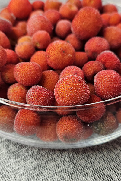 Mavi Orman Çiftliği Dondurulmuş Kocayemiş ( Dağ Çileği ) 1 KG