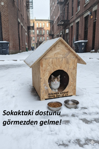 worldofwood Dış Mekan Yağmura Ve Soğuğa Dayanıklı Osb Kedi Evi Yuvası