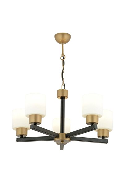 Apliqa Jade 5 Li Avize Eskitme Siyah Boyalı Beyaz Camlı Modern Genç Odası Yatak Odası Retro Salon Avize