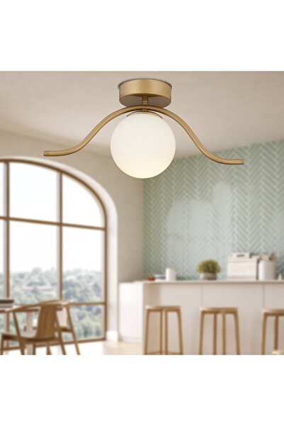 Apliqa ثريا Zeyna العتيقة الحديثة Plafonier لغرفة الشباب والمطبخ وغرفة النوم