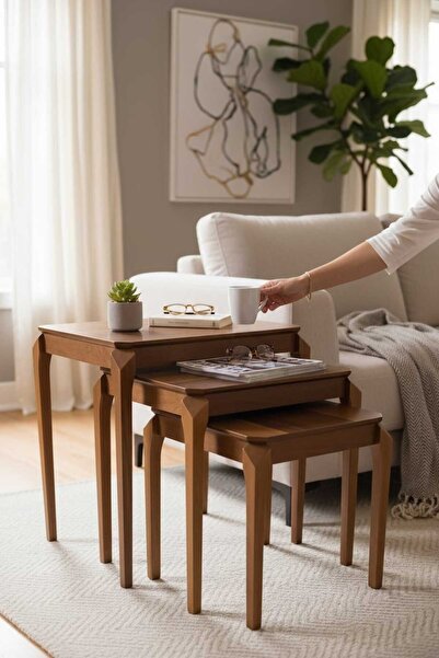 Akabesan Aksesuar Konacık Serisi Dikdörtgen Ceviz Rengi Tasarım Kayın Ağacından Üst Kalite 3'lü Zigon Sehpa Takımı