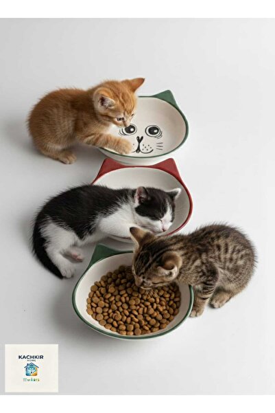 KACHKIRHOME Kedi Maması Tabak Kase (3 Adet) KızılKahve ve Yeşil kaseler Hediy...