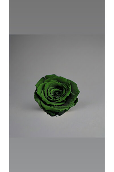 ABROZ HOME DESIGN وردة مذهولة غير باهتة / أخضر زمردي