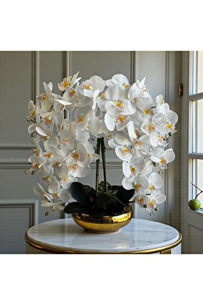 ArzzHome Ufo Saksı 6 Dal Orkide Aranjmanı Gold