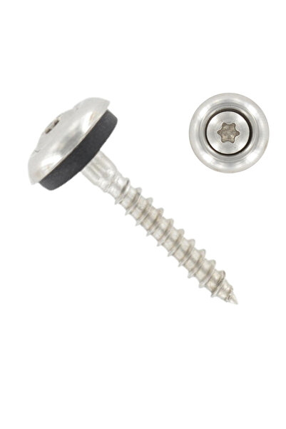 Admira Systems Set de 100 șuruburi cu cap bombat și șaibă EPDM 15 mm, oțel in...