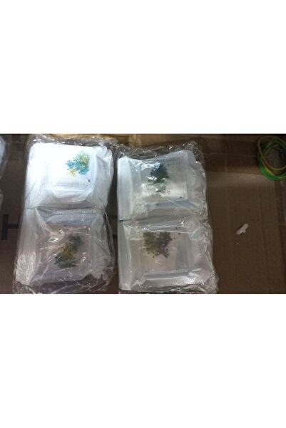 global fashion Decor pentru unghii, flori uscate D21