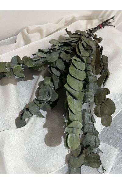 Ziva DEKOR AÇIK YEŞİL ŞOKLANMIŞ OKALİPTÜS