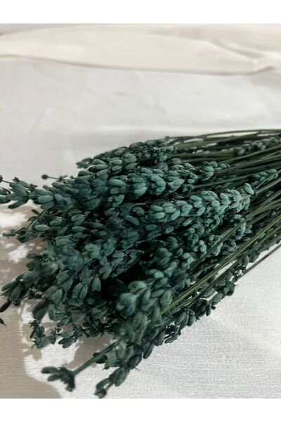 Ziva DEKOR YEŞİL ŞOKLANMIŞ DÖKÜLMEZ LAVANTA 50 GRAM